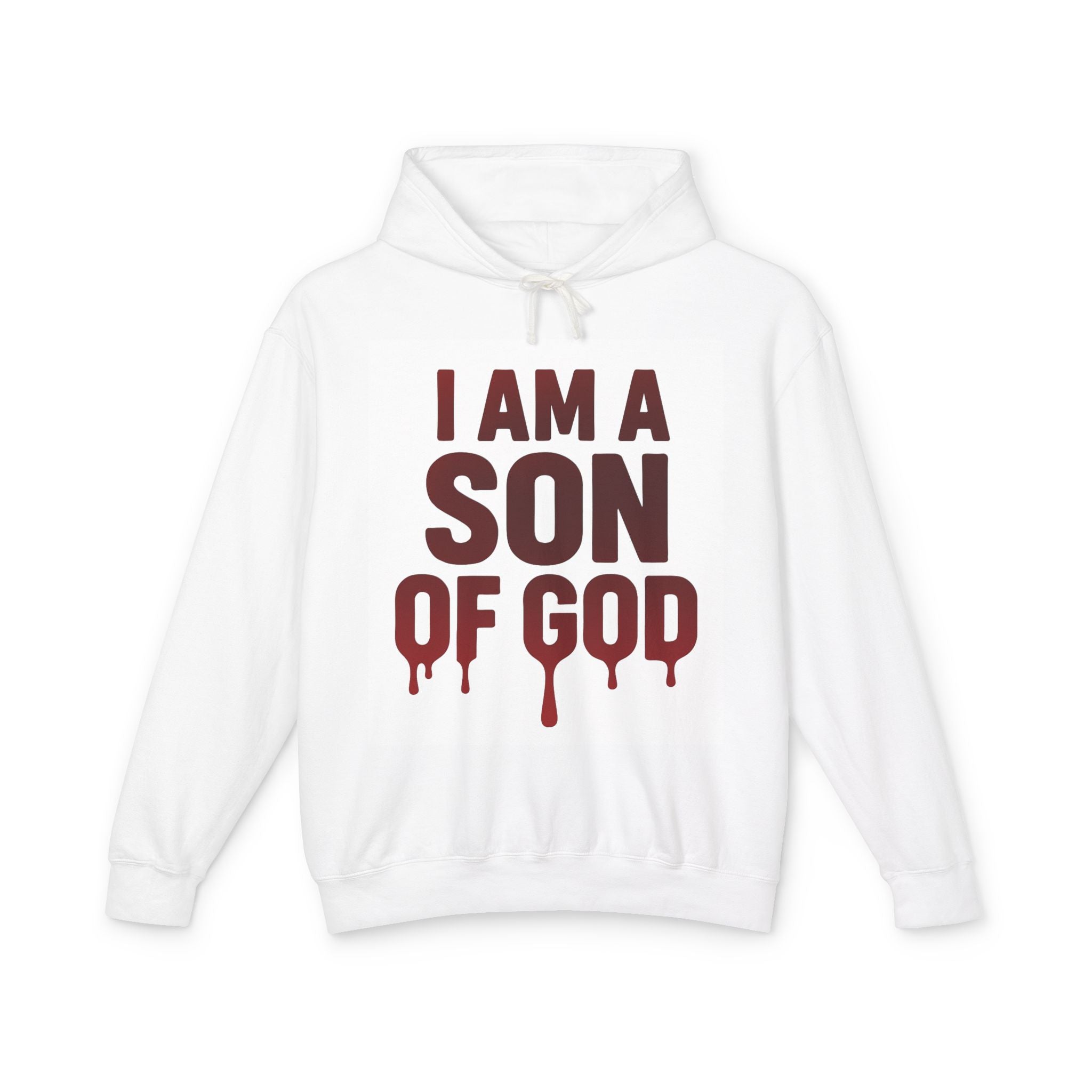 I Am a Son of God Hoodie — John 1:12 Christian Faith Hooded Sweatshirt